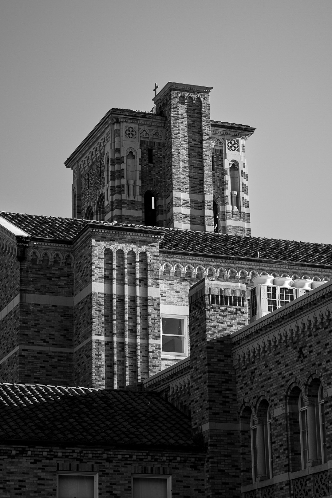 Day 206 - July 25, 2022