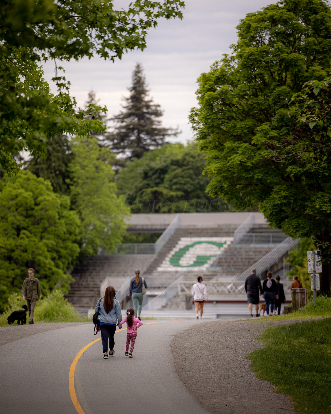 Day 166 - June 15, 2022