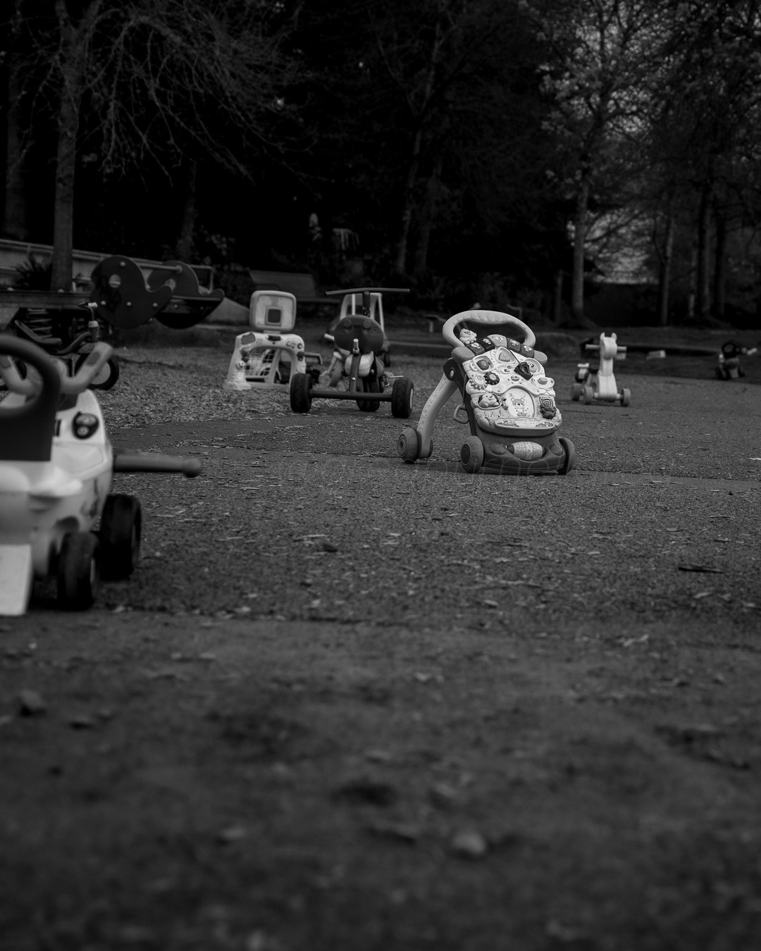 Day 115 - April 25, 2022