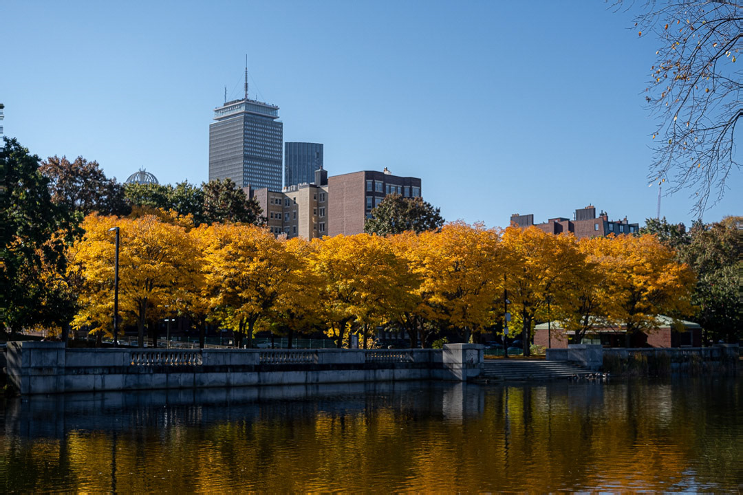 Day 294 - October 21, 2022