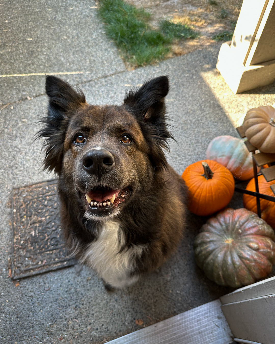 Day 281 - October 8, 2022