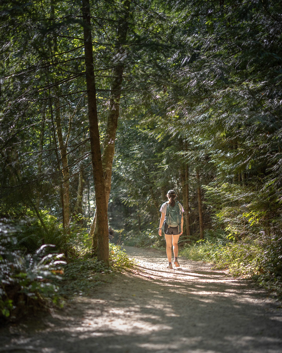 Day 219 - August 7, 2022