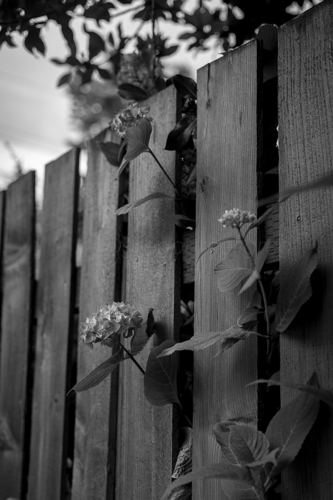 Day 179 - June 28, 2022