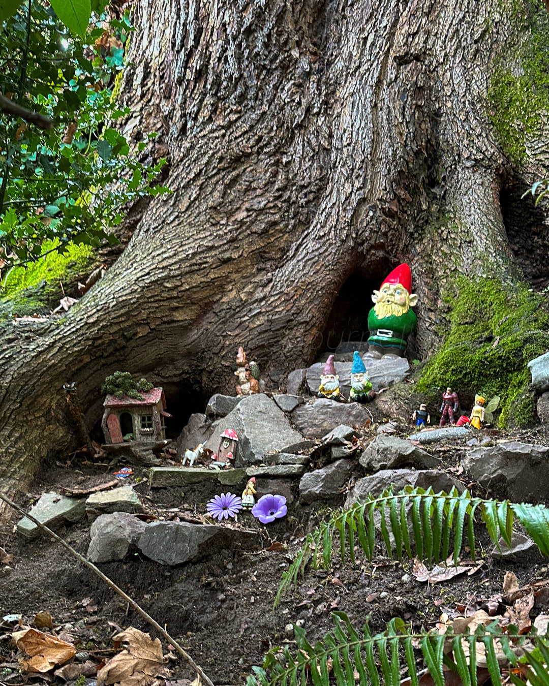 Day 352 - December 18, 2022