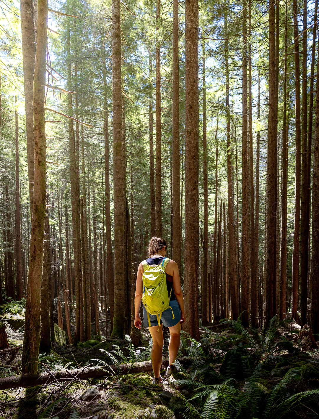 Day 205 - July 24, 2022