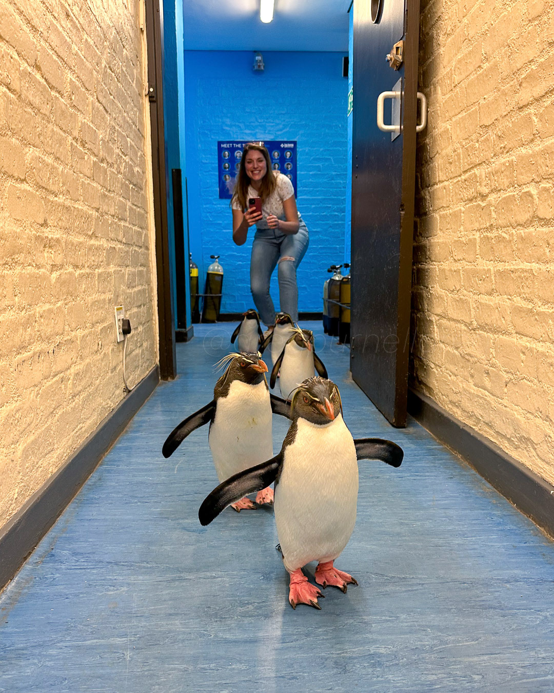 Day 323 - November 19, 2022