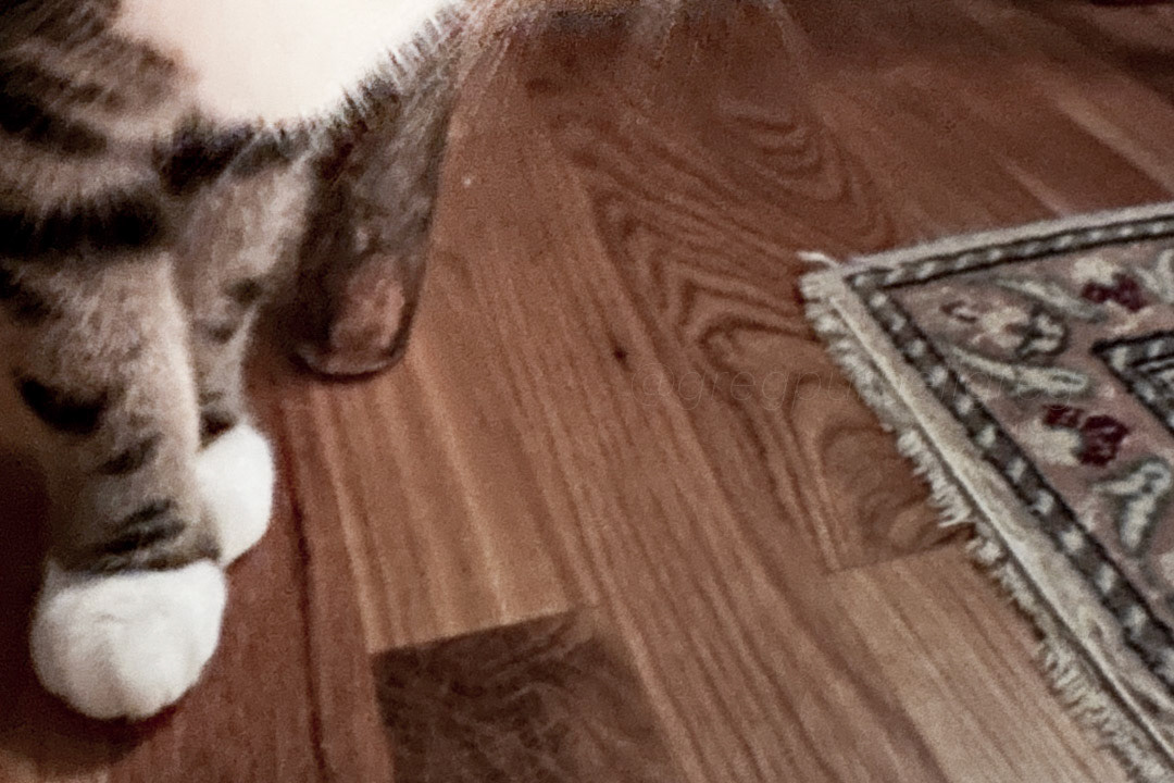 Day 301 - October 28, 2022