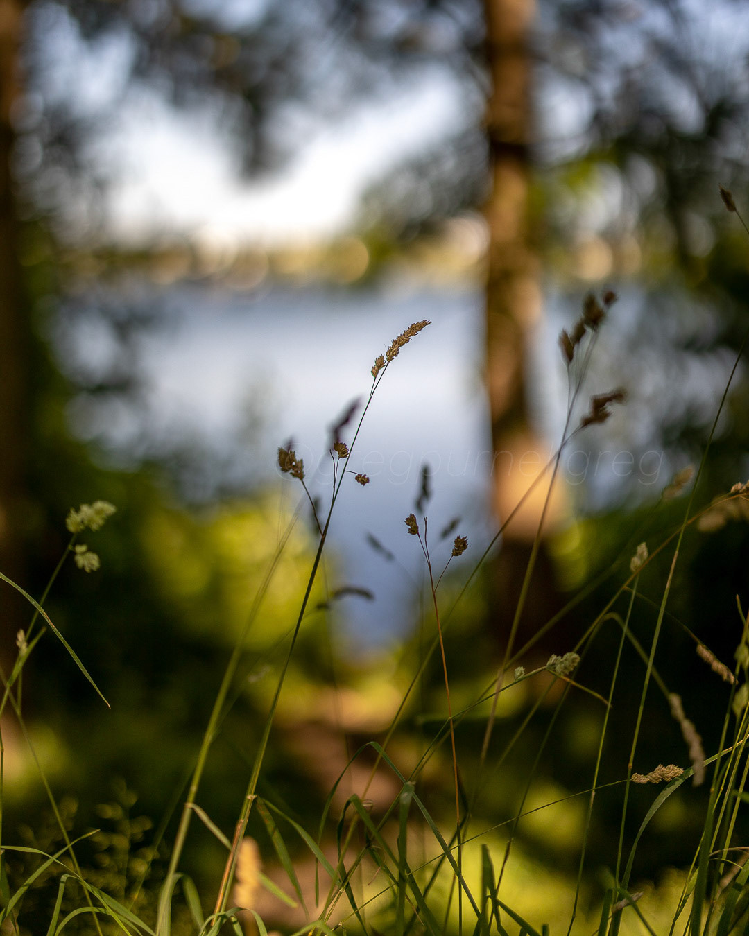 Day 195 - July 14, 2022