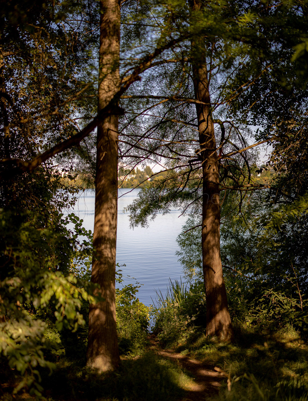 Day 203 - July 22, 2022