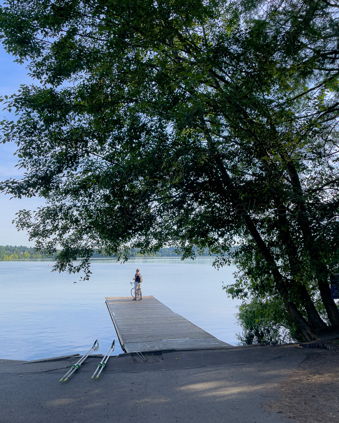 Day 178 - June 27, 2022