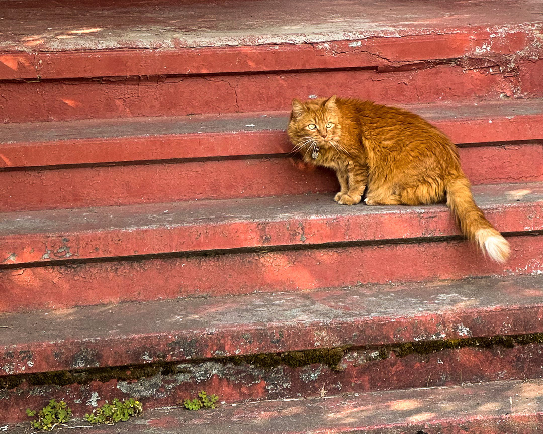 Day 270 - September 27, 2022