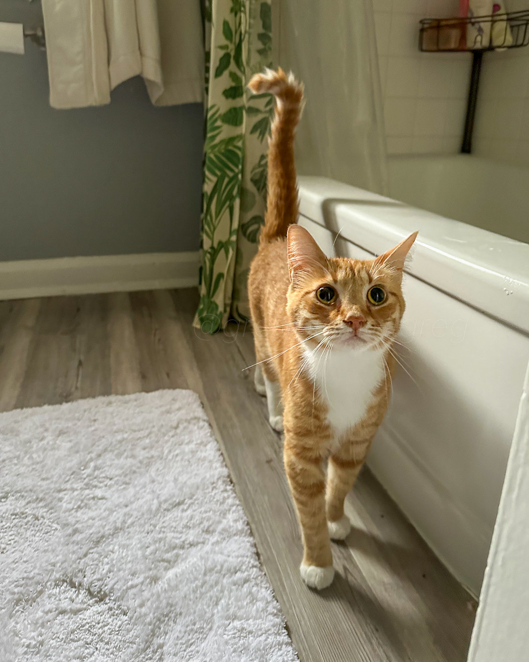 Day 298 - October 25, 2022