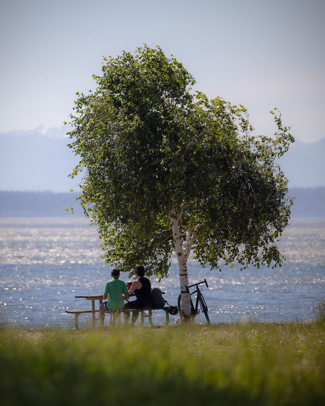 Day 177 - June 26, 2022