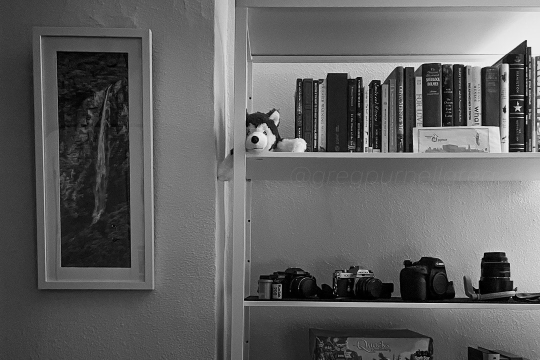 Day 173 - June 22, 2022