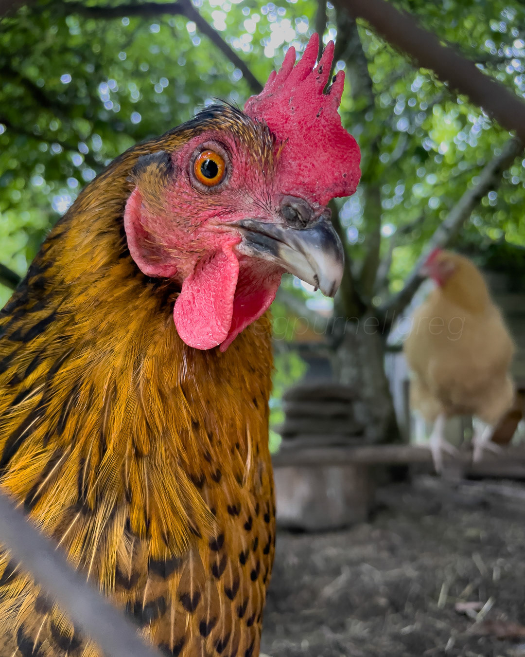 Day 168 - June 17, 2022