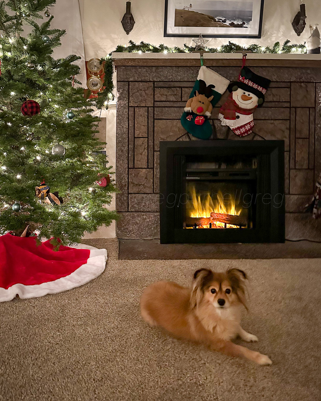 Day 343 - December 9, 2022