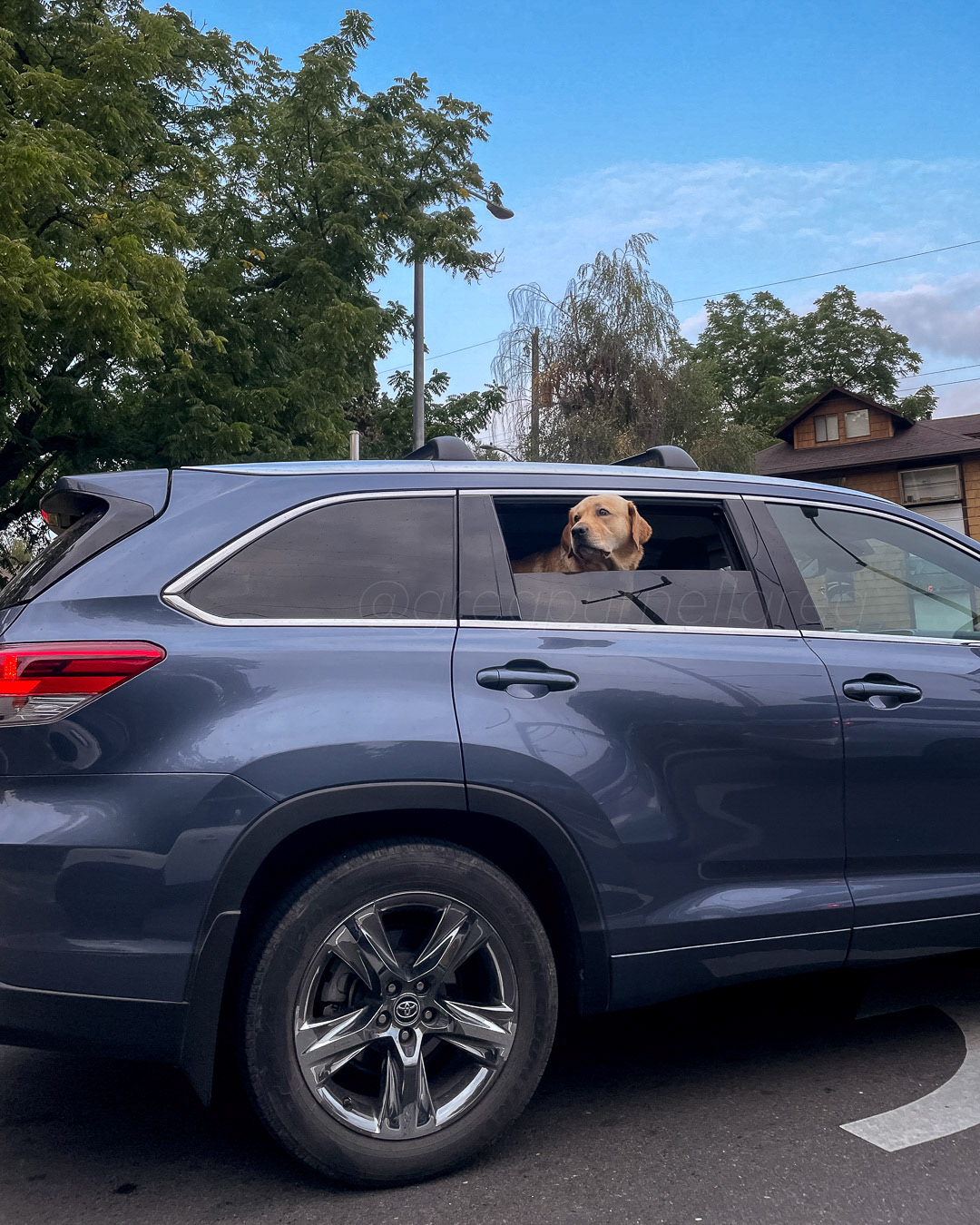 Day 257 - September 14, 2022