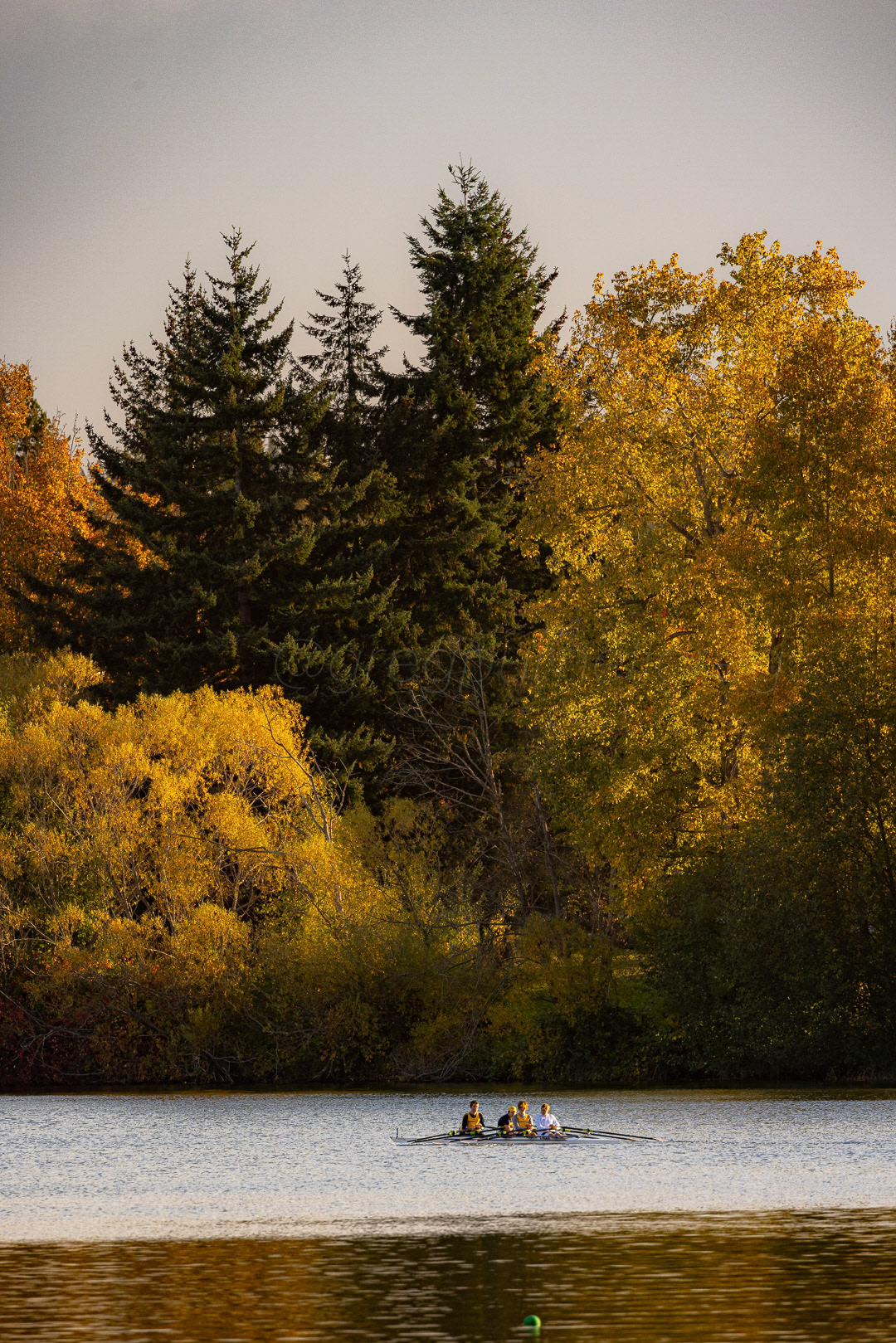 Day 309 - November 5, 2022