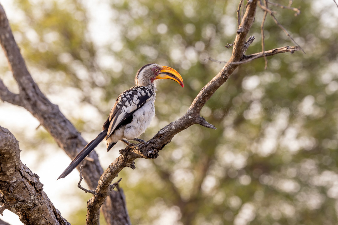 Day 328 - November 24, 2022