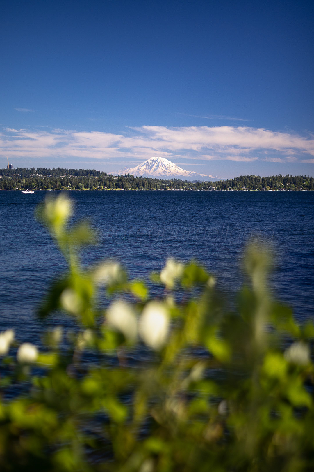 Day 193 - July 12, 2022