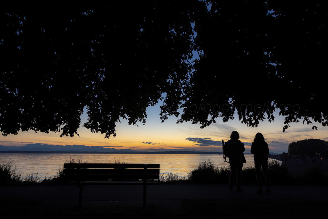 Day 171 - June 20, 2022