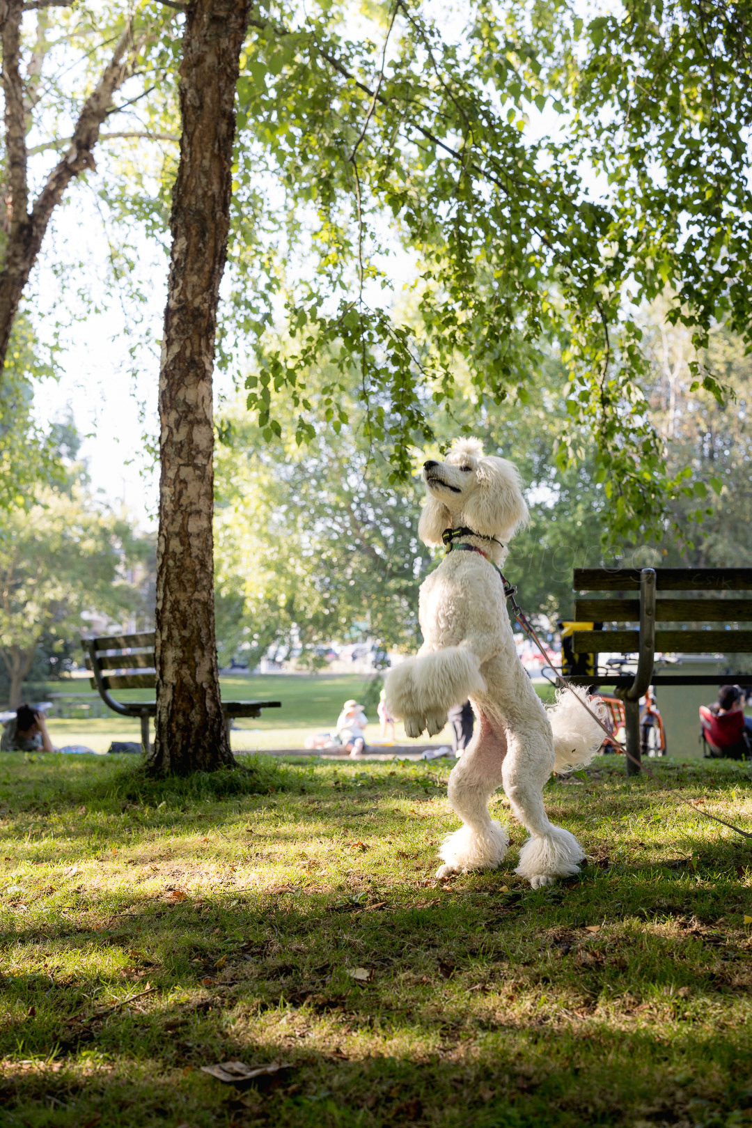 Day 242 - August 30, 2022