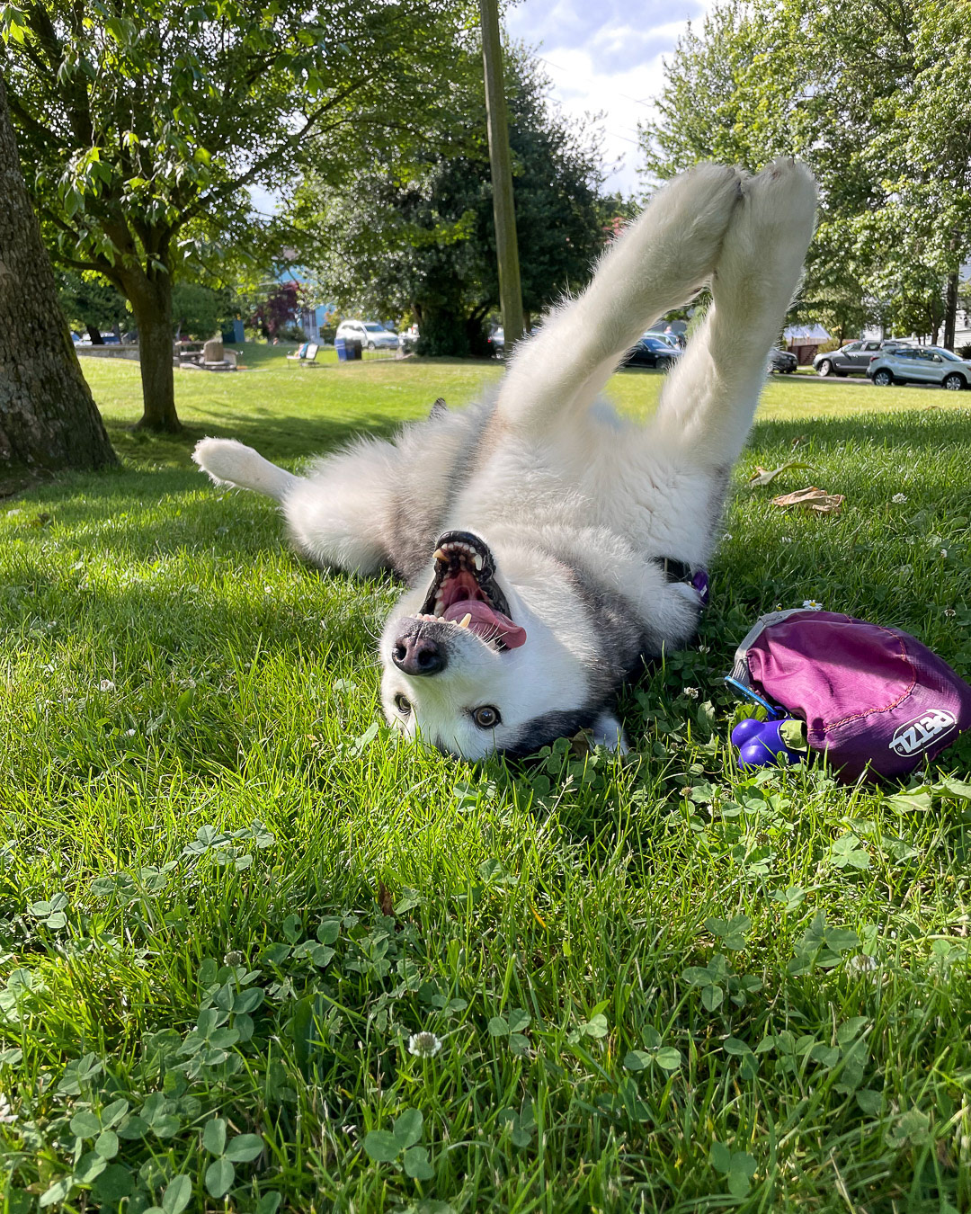 Day 188 - July 7, 2022