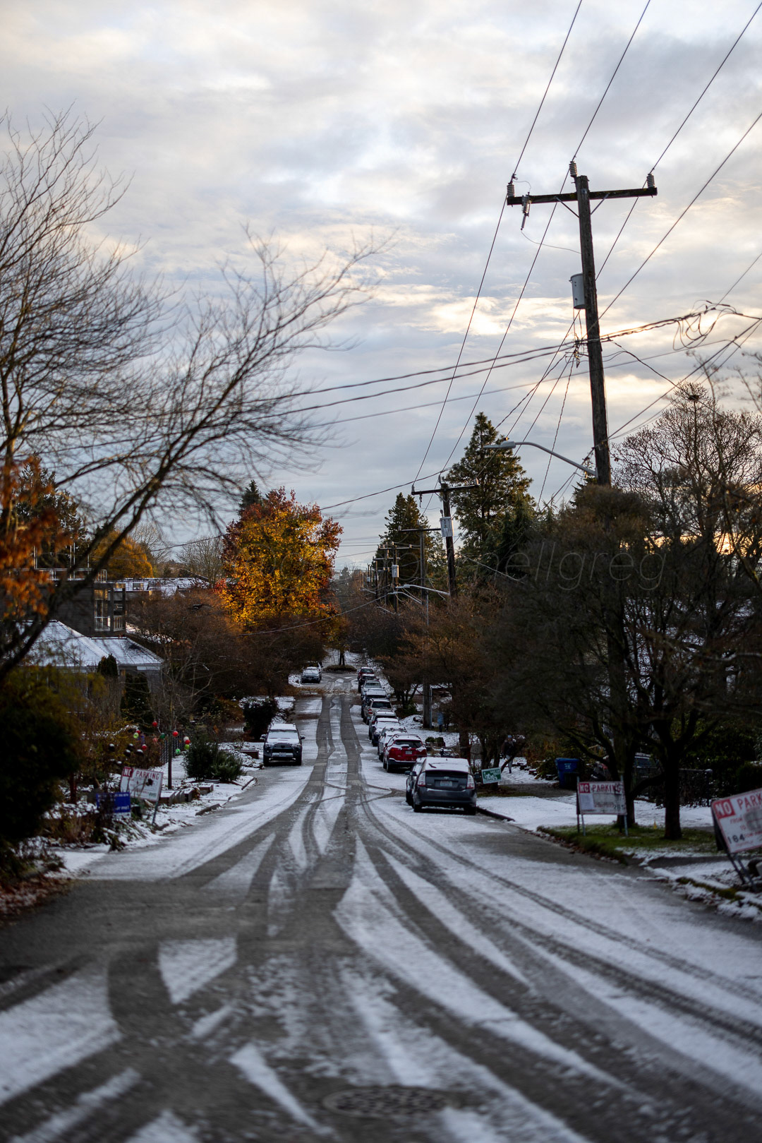 Day 337 - December 3, 2022