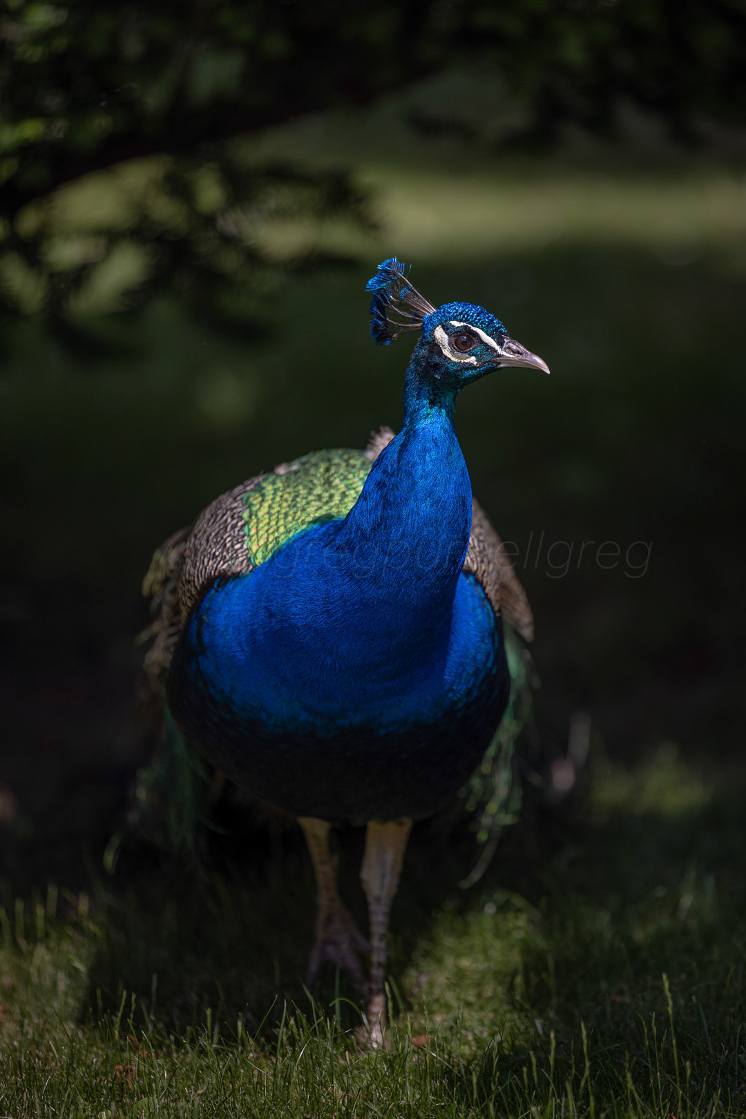 Day 142 - May 22, 2022