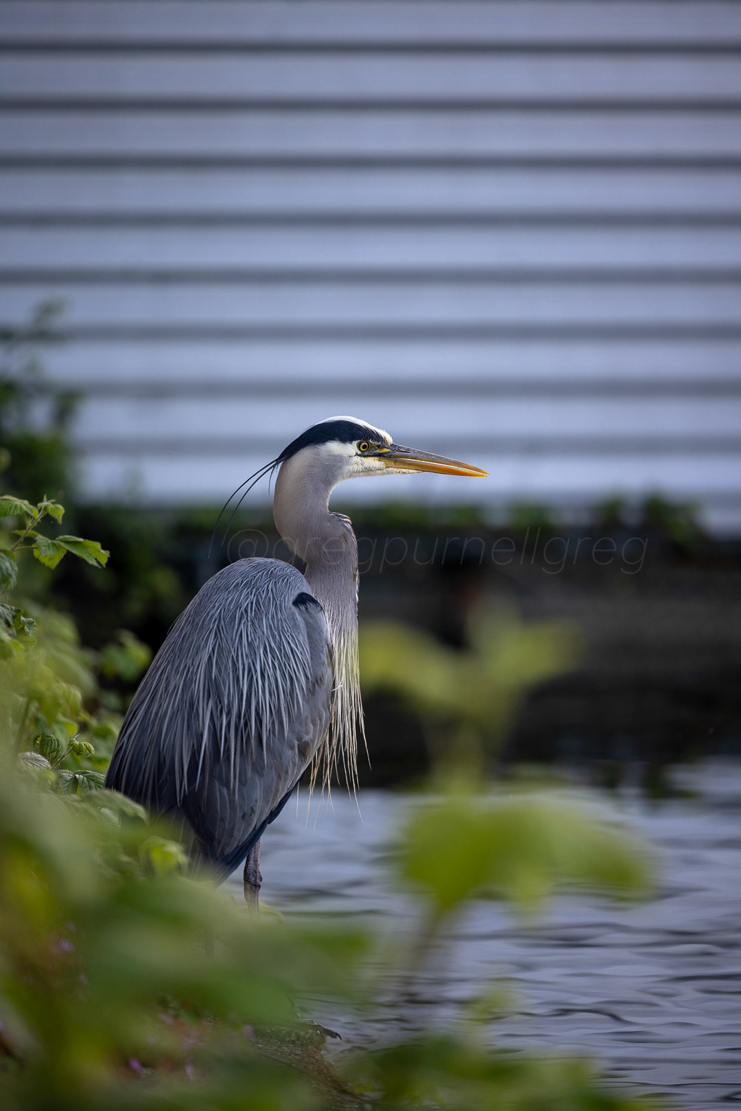 Day 137 - May 17, 2022