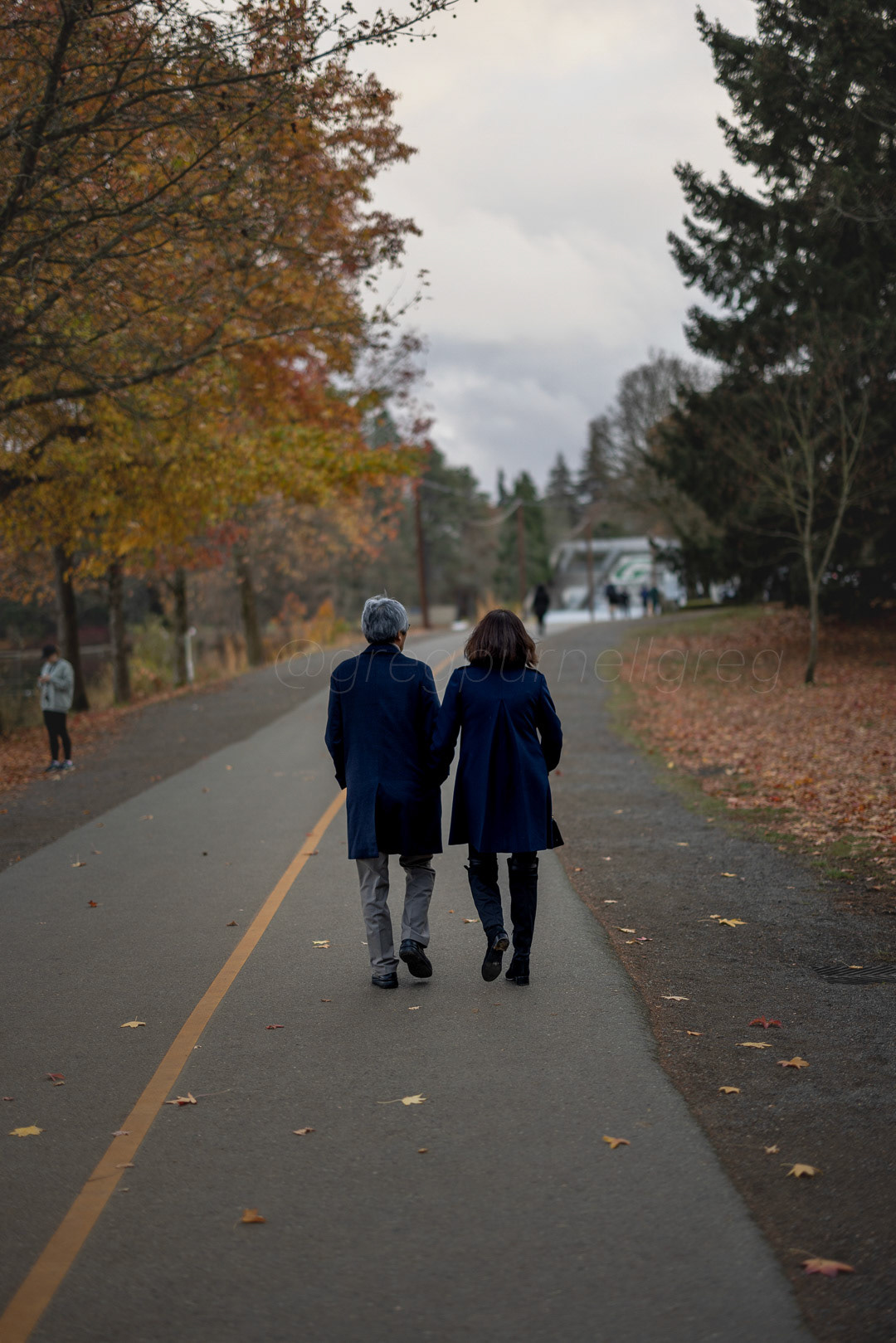 Day 340 - December 6, 2022