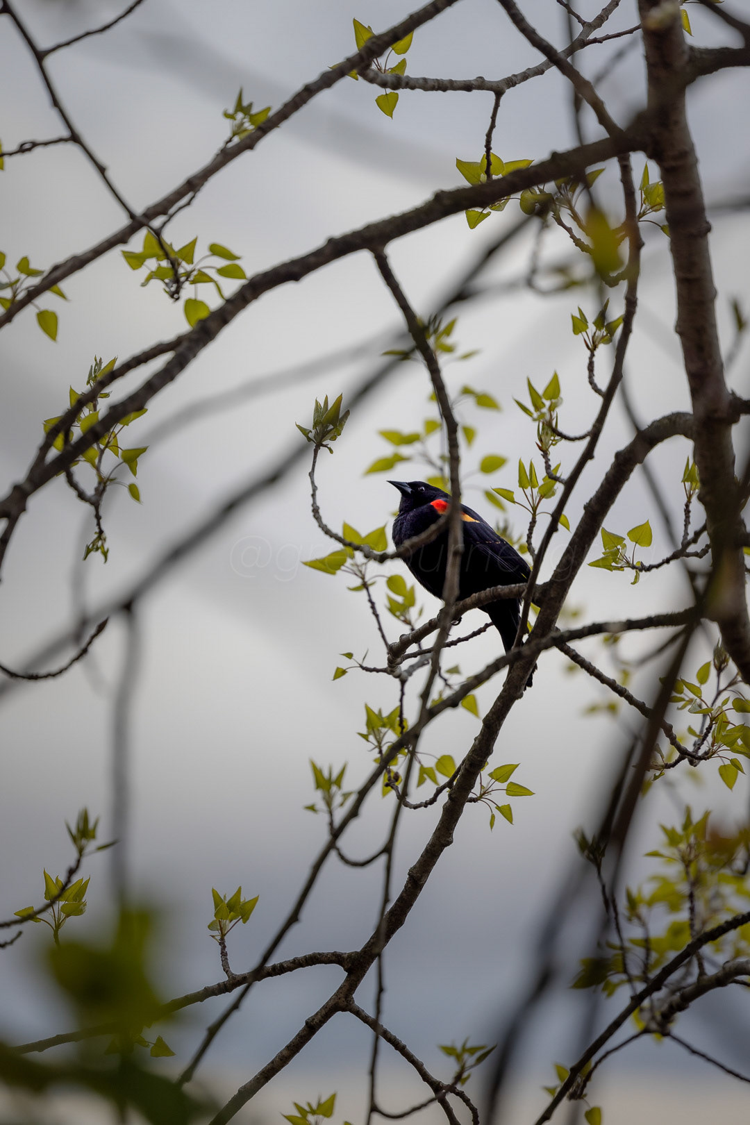 Day 102 - April 12, 2022