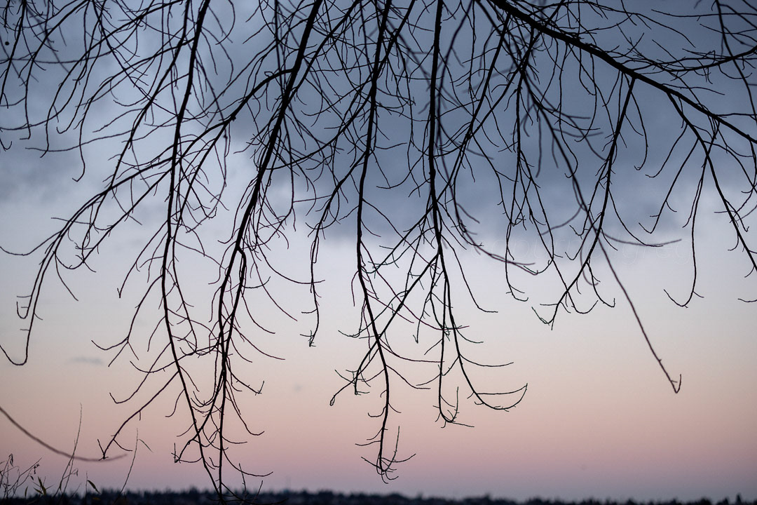 Day 348 - December 14, 2022