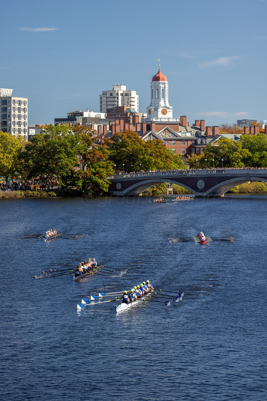 Day 295 - October 22, 2022