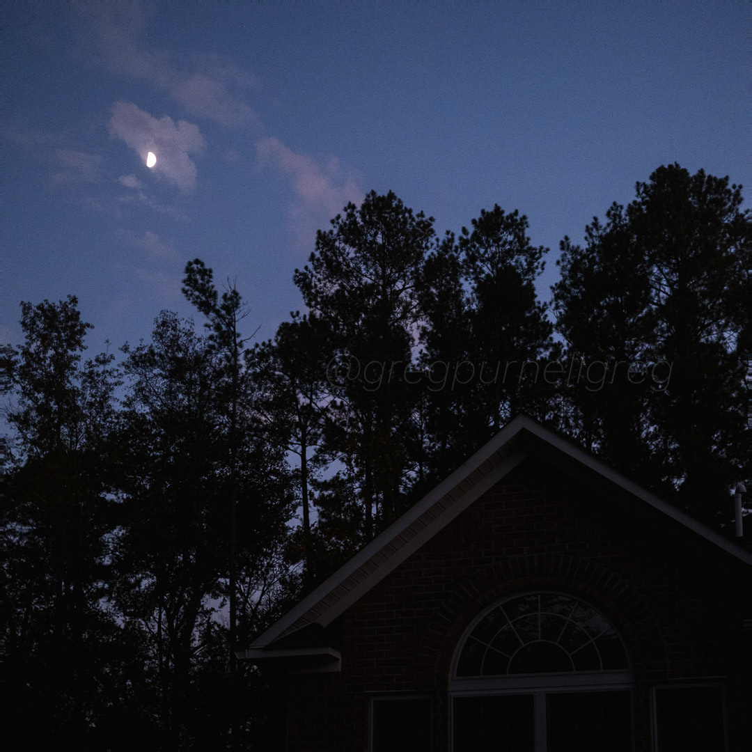 Day 305 - November 1, 2022