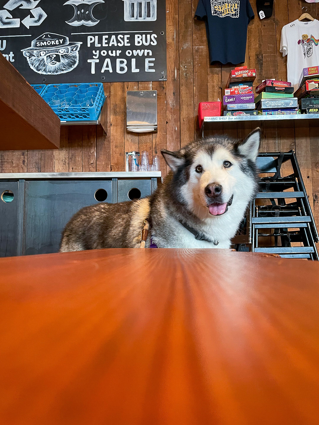 Day 214 - August 2, 2022