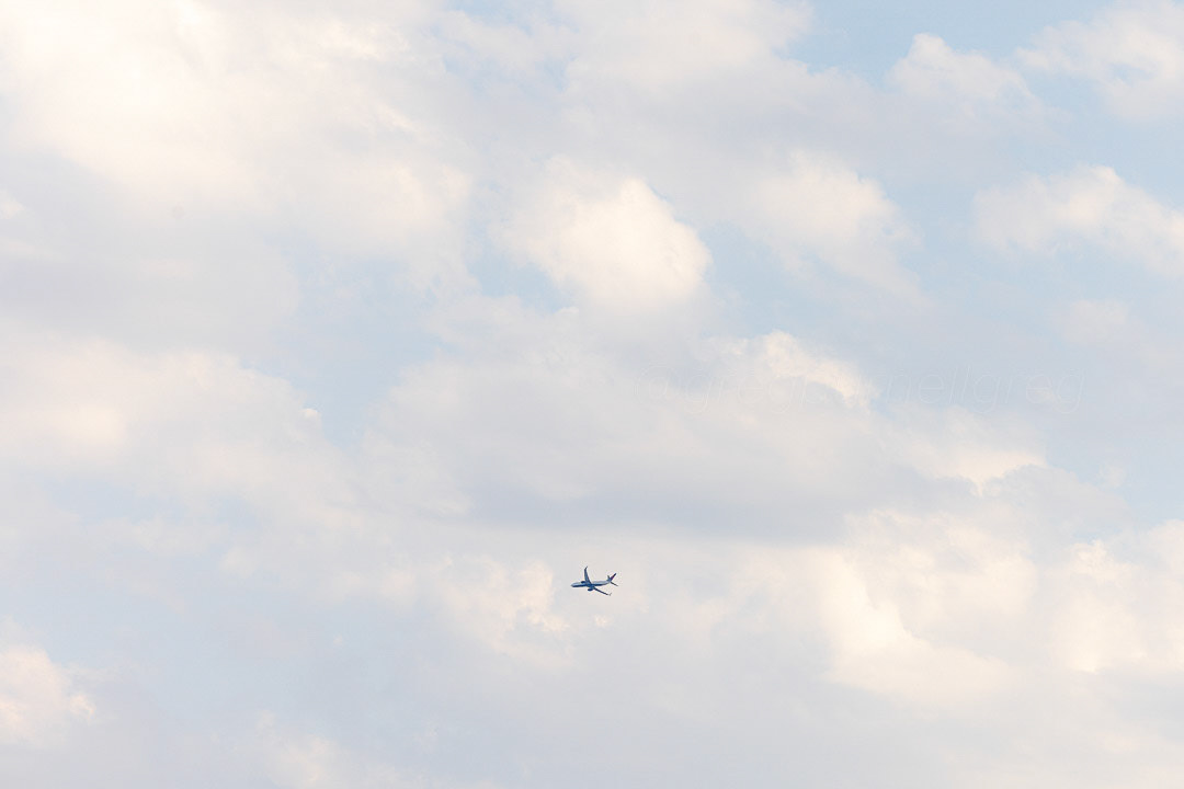 Day 231 - August 19, 2022