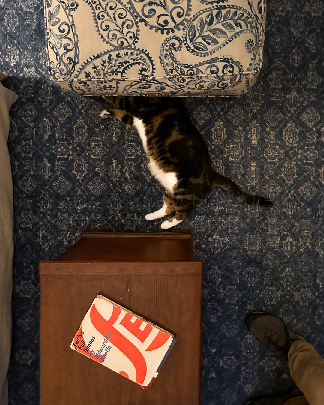 Day 302 - October 29, 2022