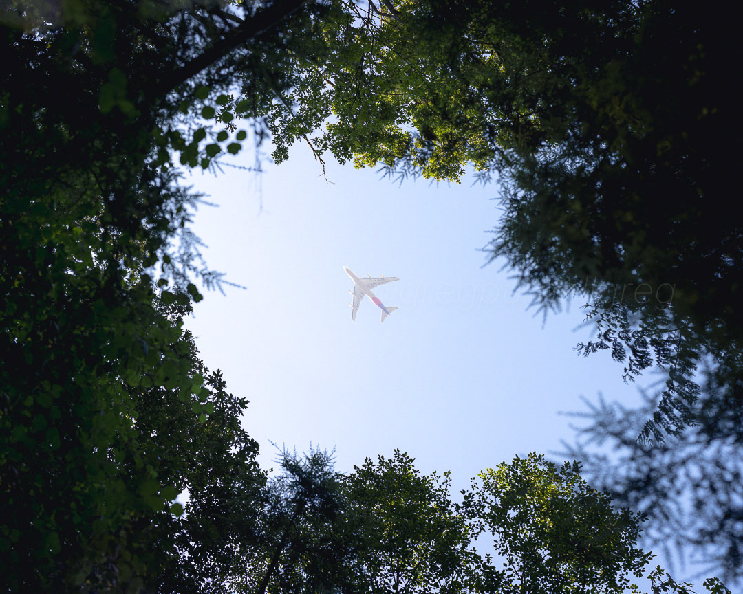 Day 221 - August 9, 2022