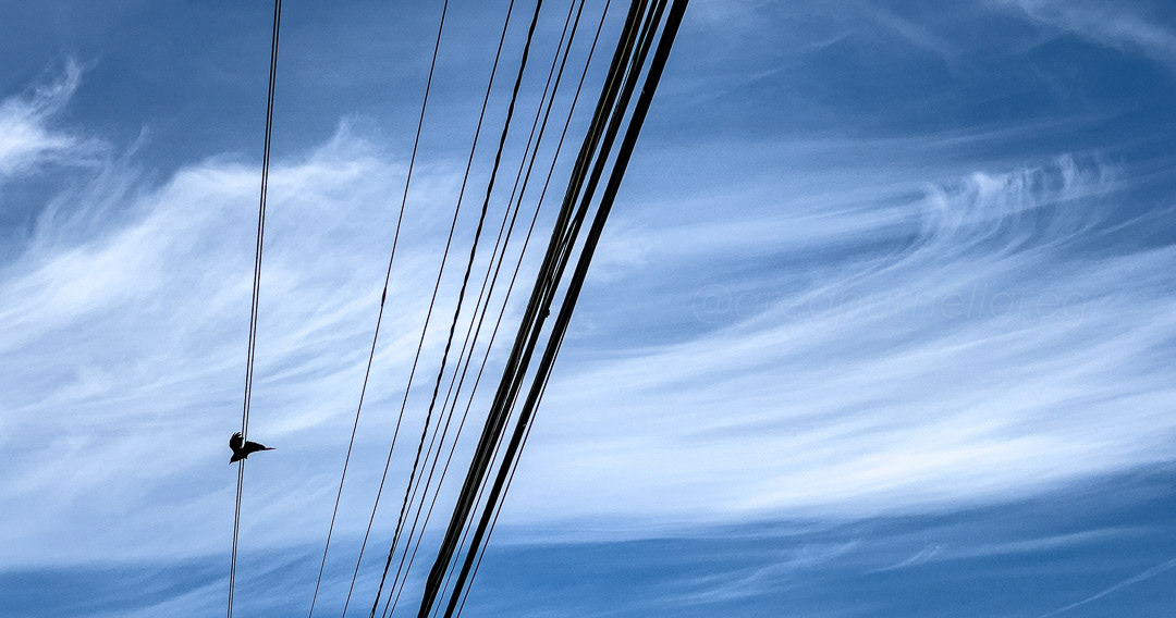 Day 158 - June 7, 2022