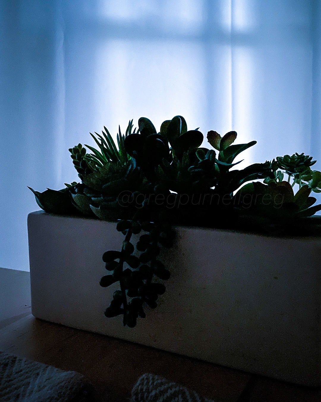 Day 164 - June 13, 2022