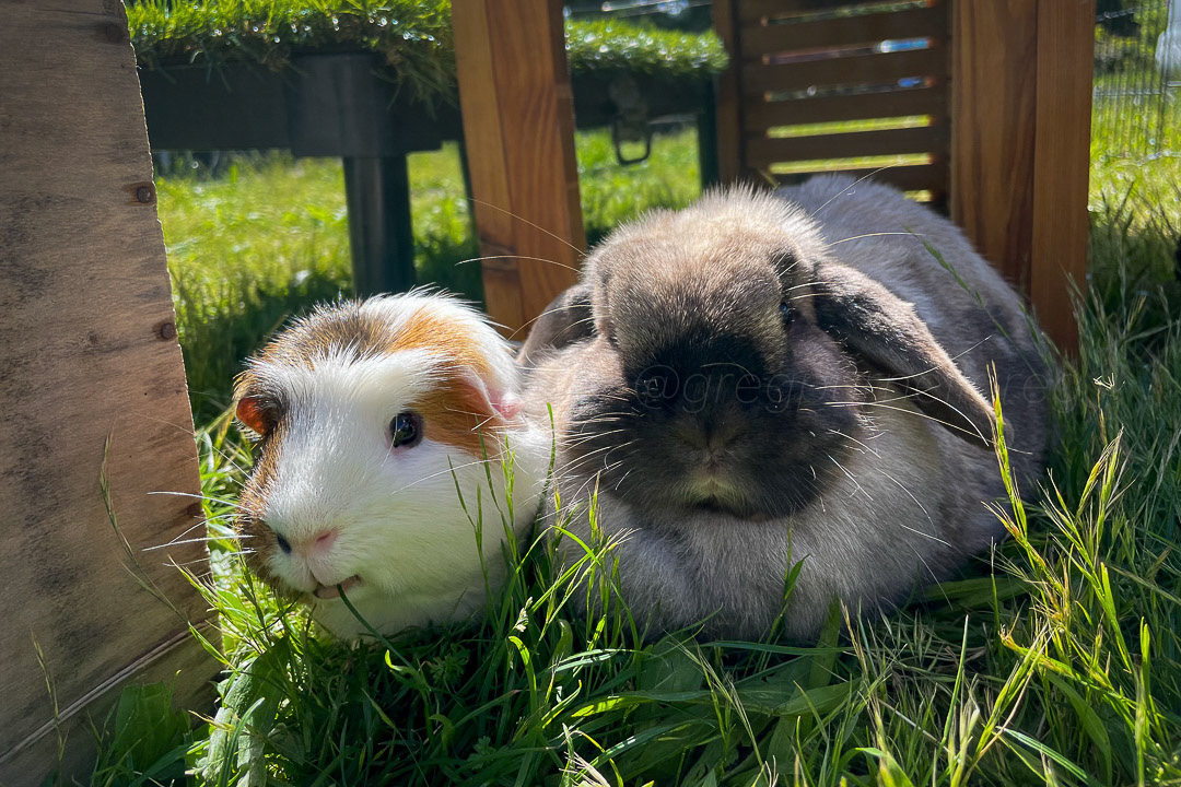 Day 174 - June 23, 2022