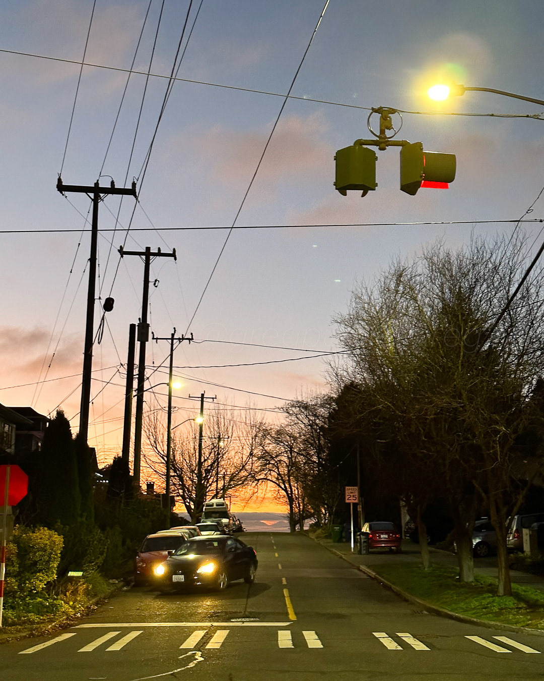 Day 350 - December 16, 2022