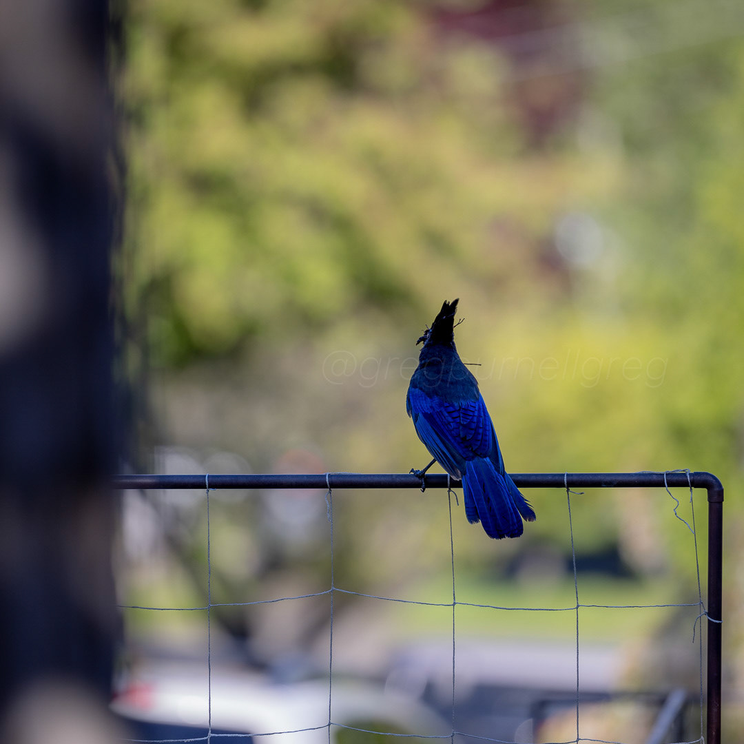 Day 132 - May 12, 2022