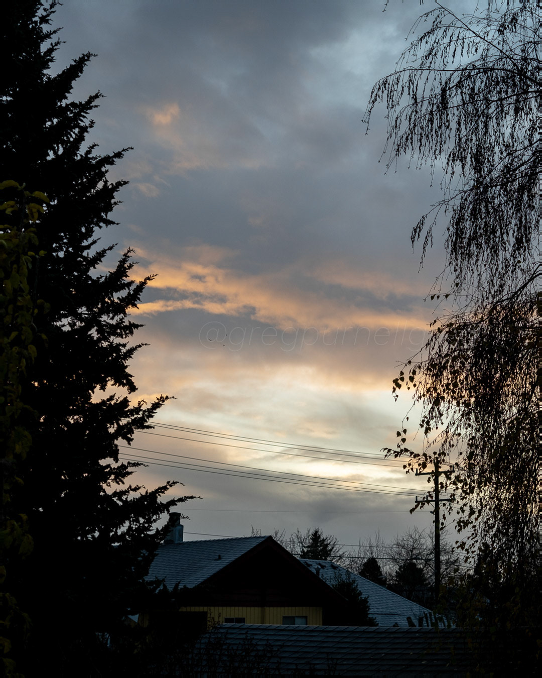 Day 335 - December 1, 2022