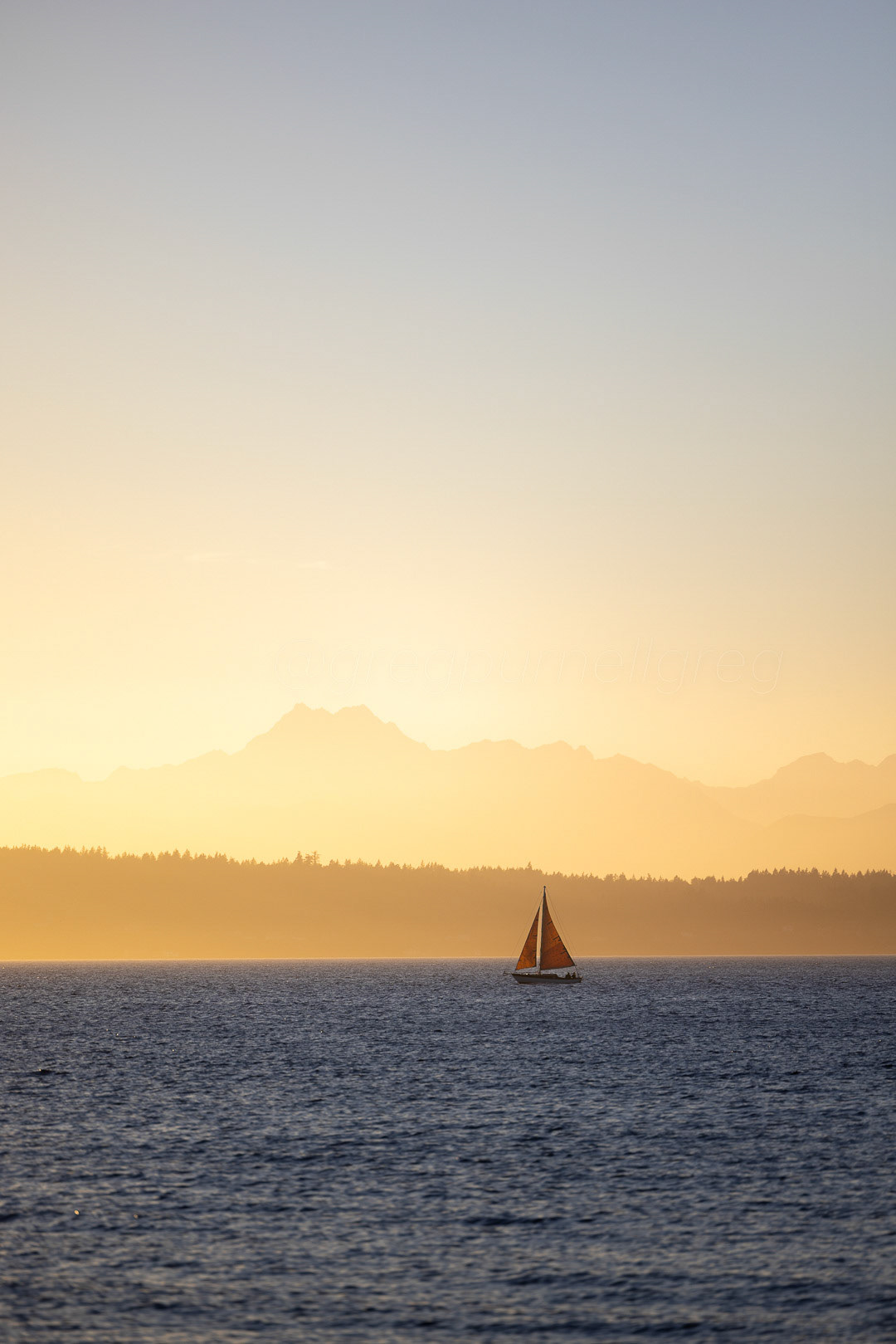 Day 284 - October 11, 2022