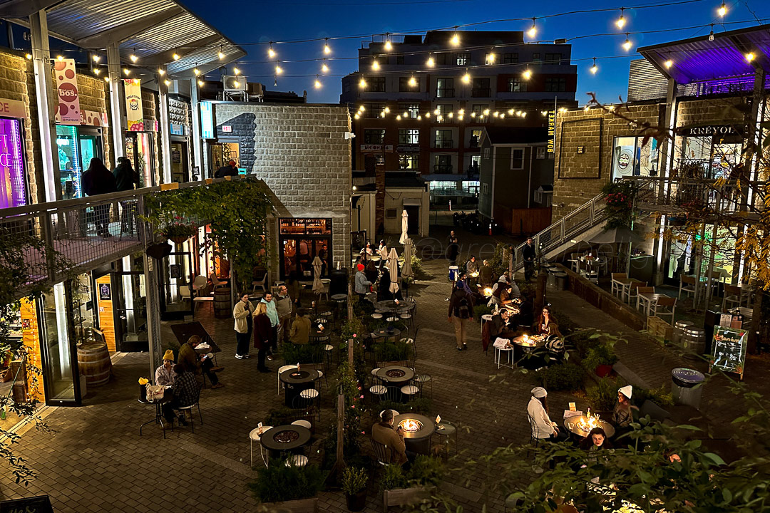 Day 293 - October 20, 2022