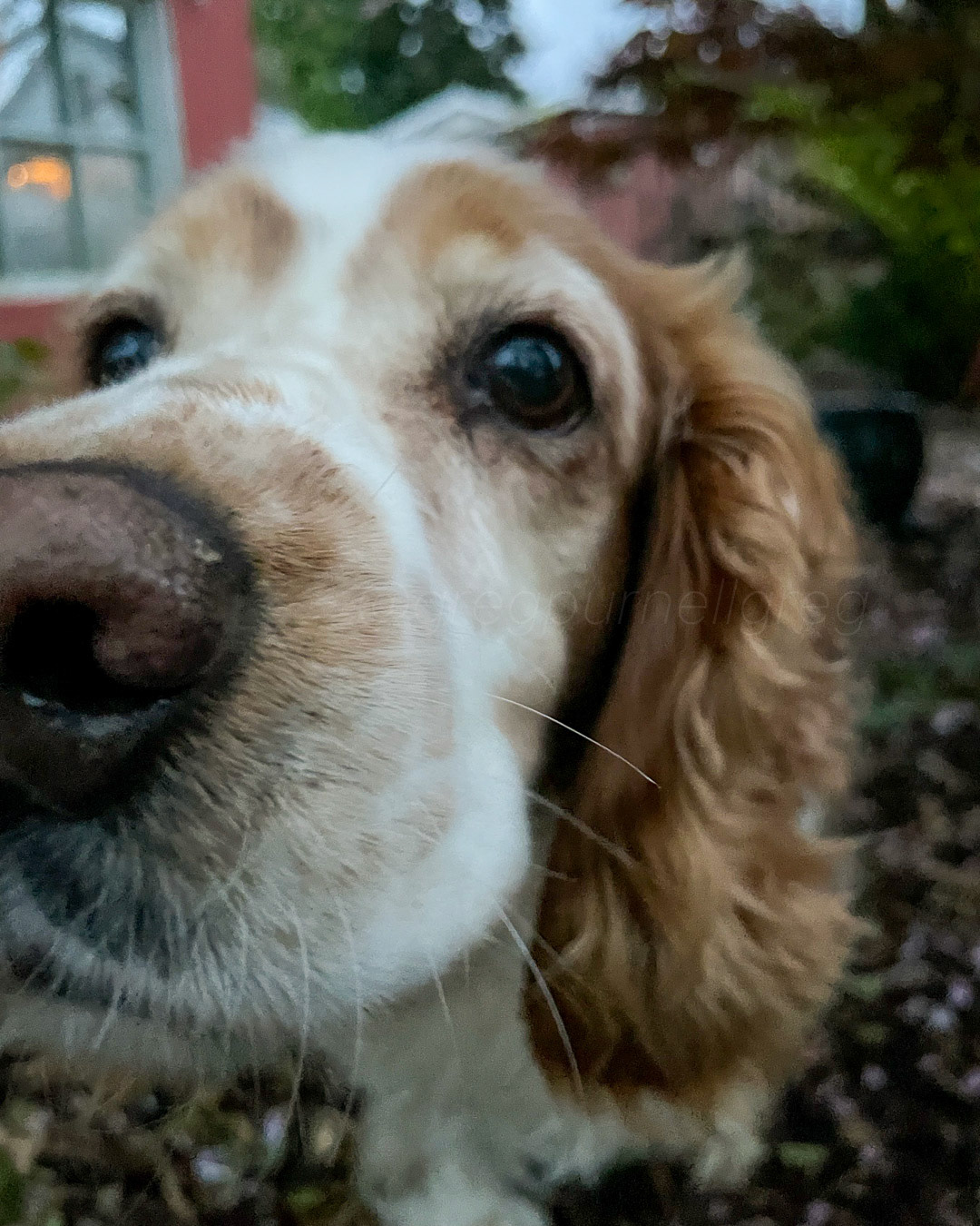 Day 122 - May 2, 2022