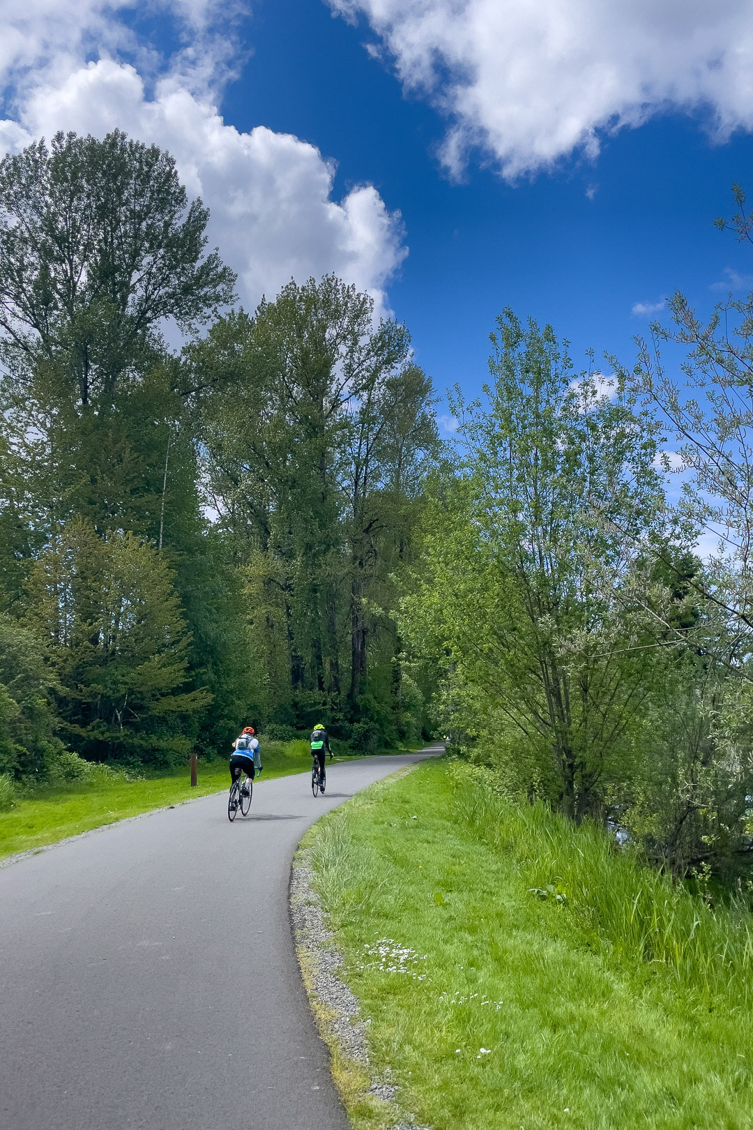 Day 128 - May 8, 2022