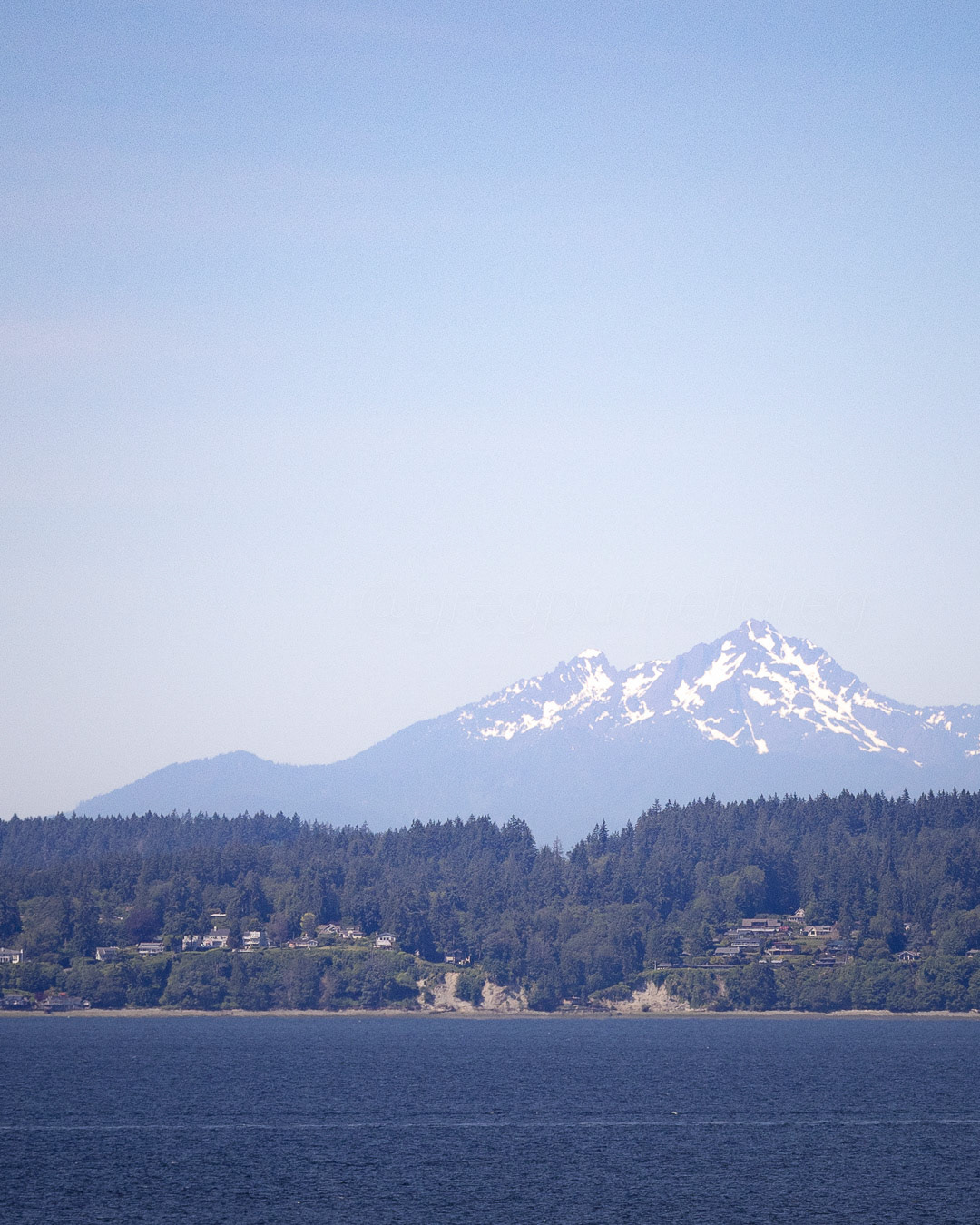 Day 176 - June 25, 2022